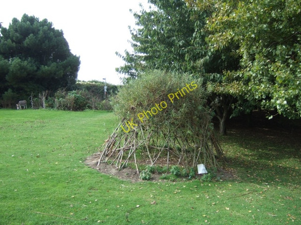 Photo 6"x4" Willow structure created at Ventnor Botanic Garden Ventnor c2010