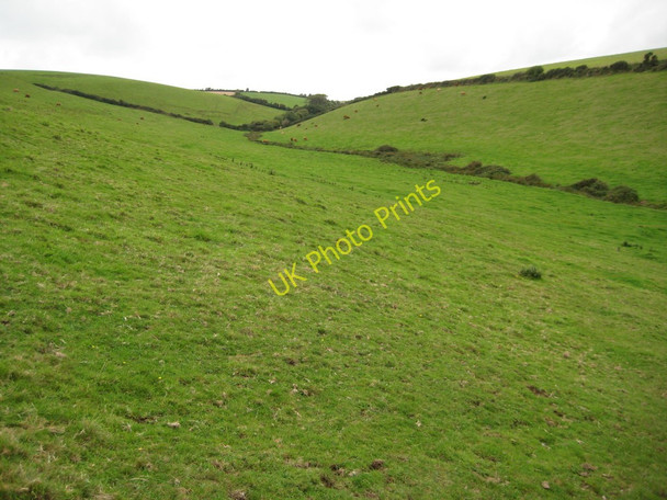 Photo 6"x4" Valley above Colona Beach Portmellon c2010