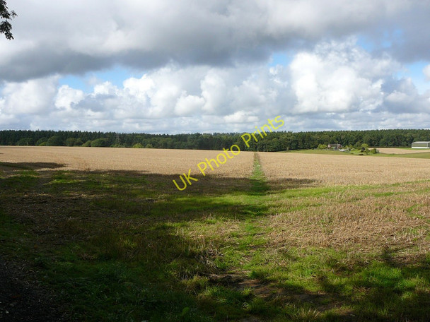 Photo 6"x4" Field path south of Clavertye Wood Exted c2010