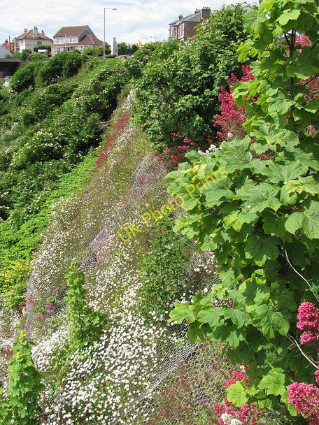 Photo 6"x4" Flowery crag, Crail Crail c2010