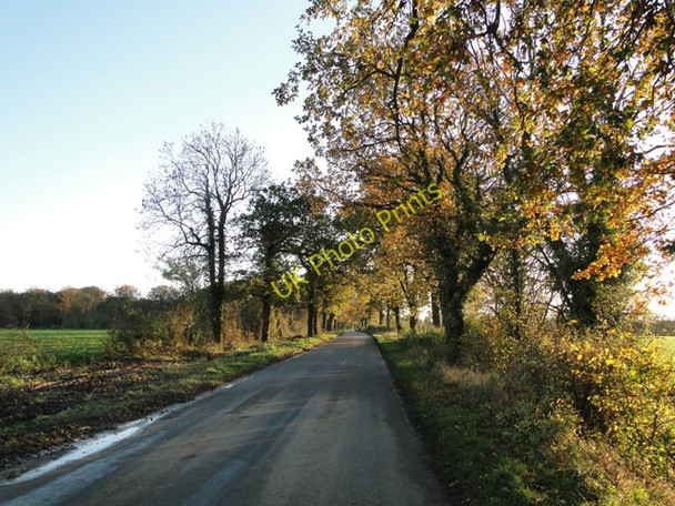 Photo 6"x4" Country road in autumn Earsham c2010