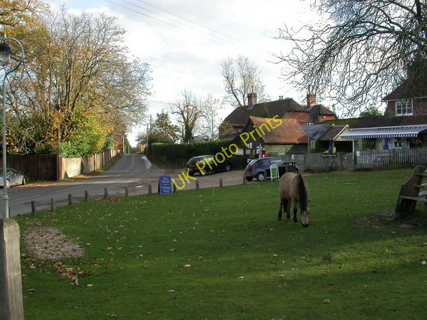 Photo 6"x4" Minstead, pony London Minstead c2010