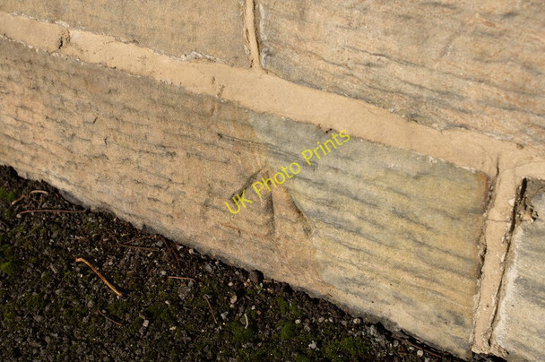 Photo 6"x4" Cut Bench Mark (close-up) Harrogate c2010 P1
