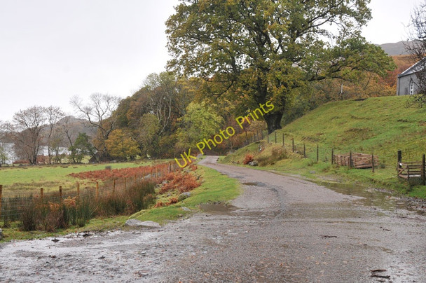 Photo 6"x4" Road end at Bracorina Bracorina c2010