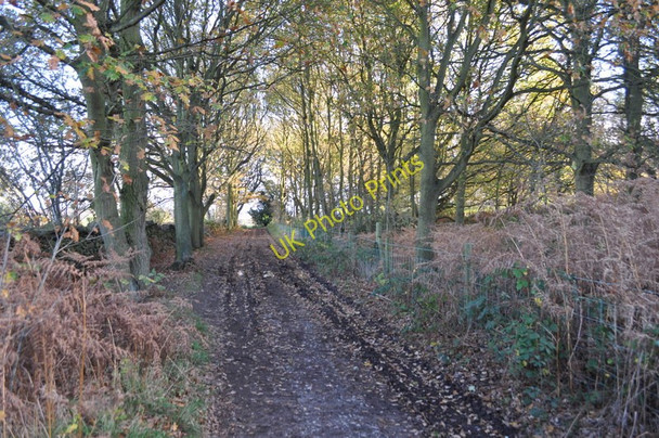 Photo 6"x4" Footpath and Bridleway Woodhouse Eaves c2010