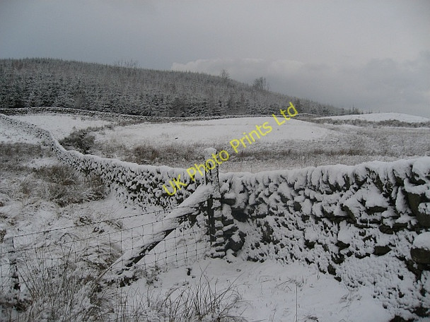 Photo 6"x4" Fields and Forest after a snowfall Kirkpatrick Durham c2008