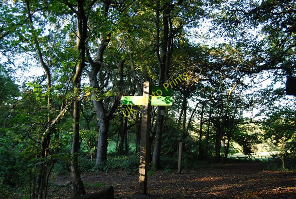 Photo 6"x4" Vanguard Way and LOOP part company, Littleheath Wood Selsdon c2010