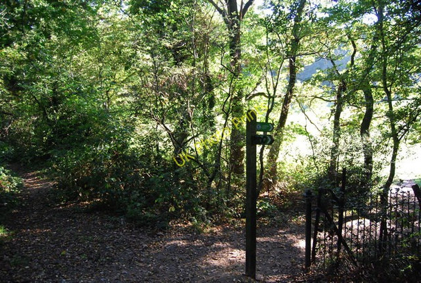 Photo 6"x4" LOOP signpost near Tedder Rd Croydon\/TQ3365 c2010