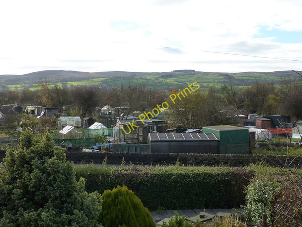 Photo 6"x4" Allotments at Skipton Skipton c2010