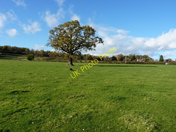 Photo 6"x4" Footpath in open fields south of Kenley Church Preen c2010