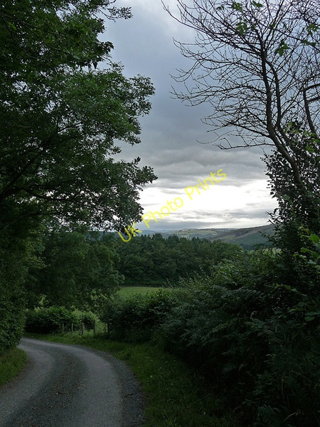 Photo 6"x4" Country road near Woolston Woolston\/SO4287 c2010