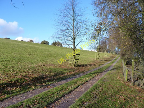 Photo 6"x4" Footpath through parkland and along a  track, Preen Manor Church Preen c2010