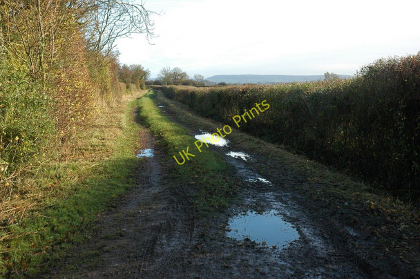 Photo 6"x4" Meadowland track near Awre Awre c2010