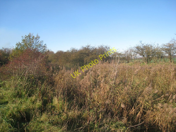 Photo 6"x4" Overgrown drainage ditch Santon\/SE9212 c2010
