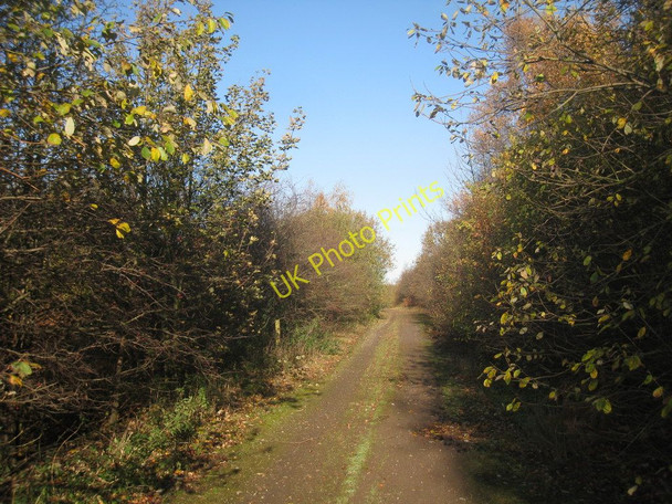 Photo 6"x4" Track through the scrub Santon\/SE9212 c2010