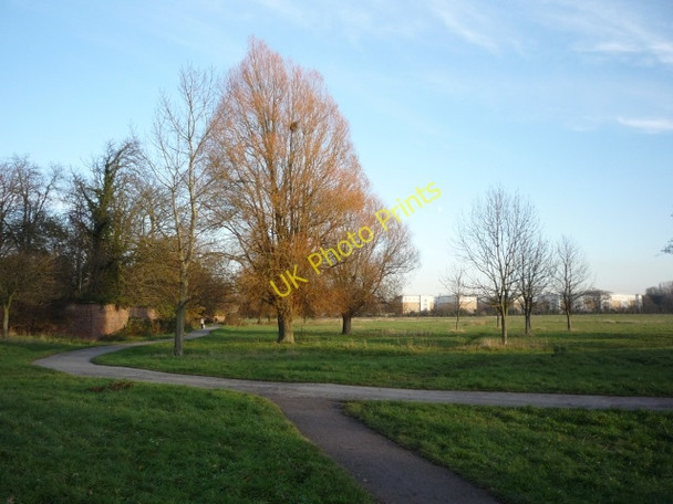 Photo 6"x4" Walmgate stray from the allotments York\/SE5951 c2010