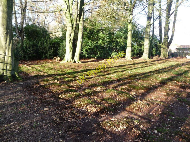 Photo 6"x4" The moss garden, Dunham Massey Dunham Town c2010