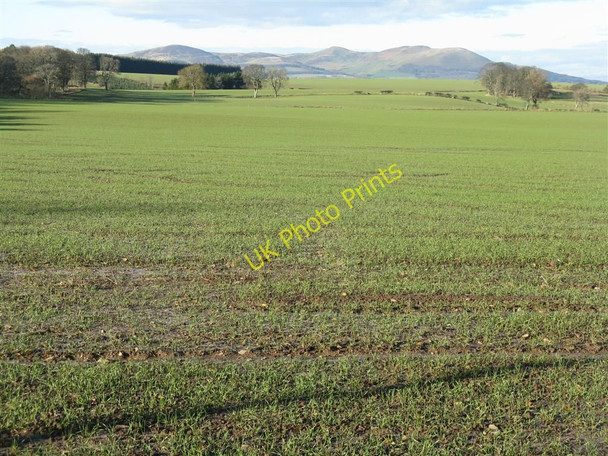 Photo 6"x4" A long view from near Carrington Carrington\/NT3160 c2010