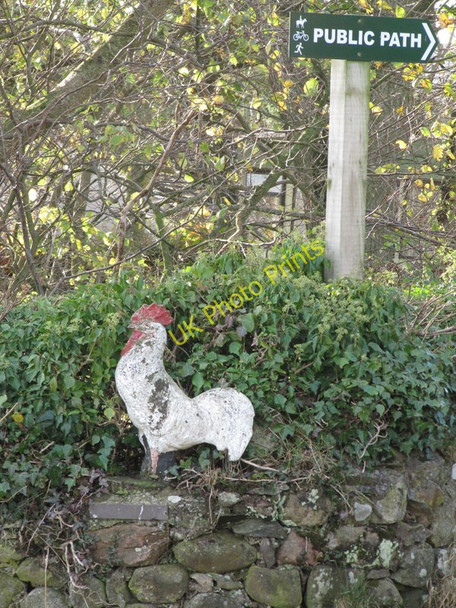 Photo 6"x4" The sign at Cocklaw Farm. Oldhamstocks c2009