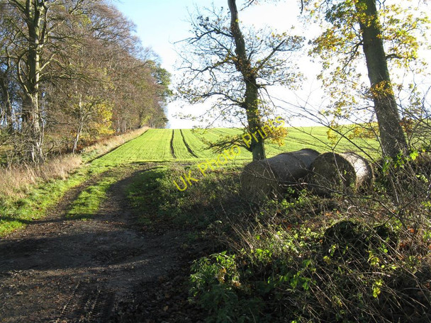 Photo 6"x4" Winter barley on Carrington Hill Carrington\/NT3160 c2010