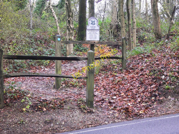 Photo 6"x4" The South Downs Way near South Harting South Harting c2010