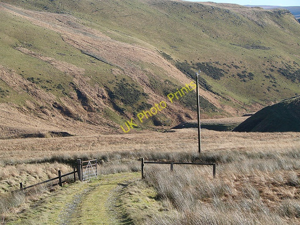 Photo 6"x4" Track on Ffos Gau Yr Allt\/SN8376 c2010