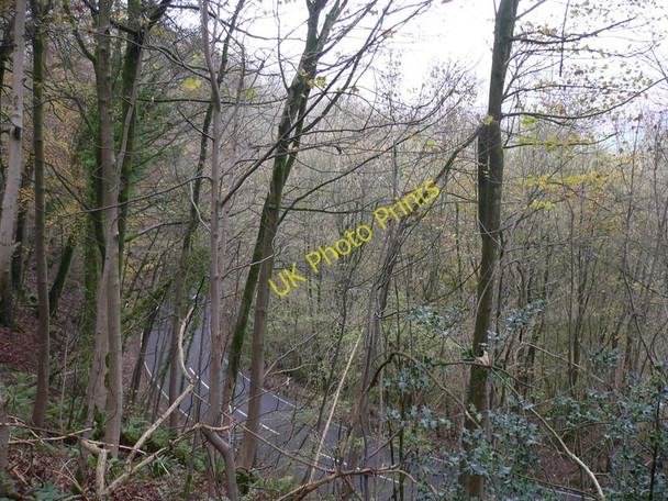 Photo 6"x4" The road to South Harting South Harting c2010
