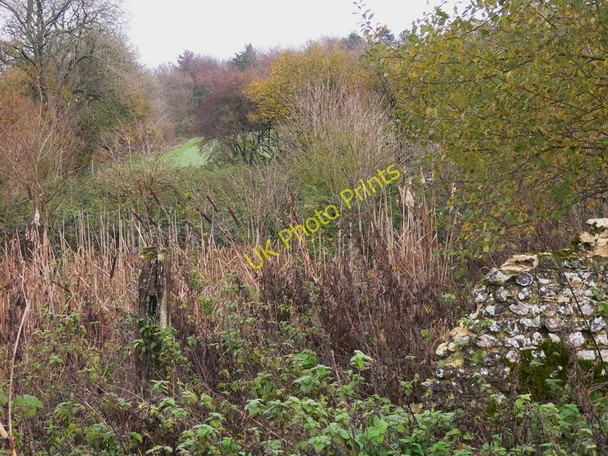 Photo 6"x4" Ruined wall and gatepost on Round Down South Harting c2010