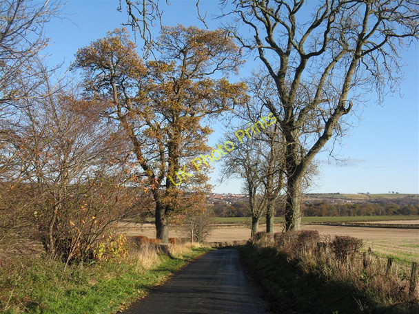 Photo 6"x4" Lane to Carrington Barns Carrington\/NT3160 c2010