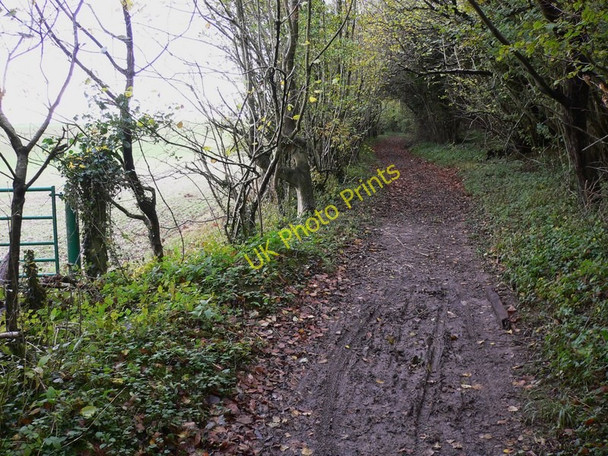 Photo 6"x4" The way to Eckensfield Compton\/SU7714 c2010