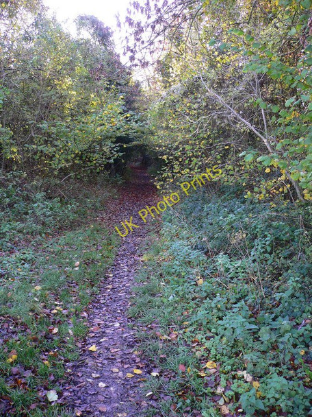 Photo 6"x4" Looking along bridleway towards Compton Compton\/SU7714 c2010