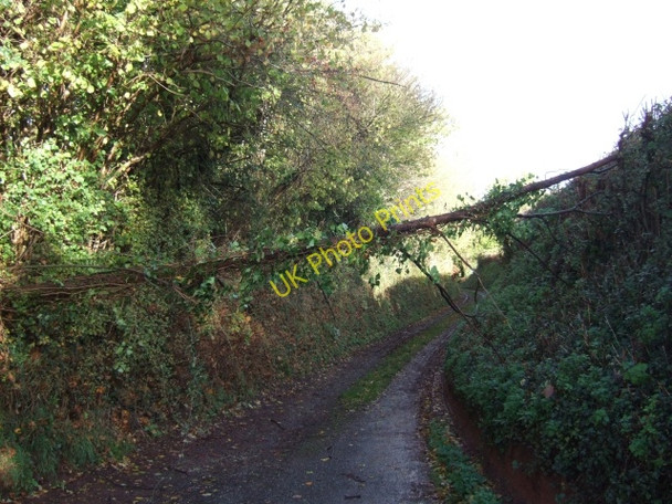 Photo 6"x4" Mutton Lane, Alphington Alphington c2010
