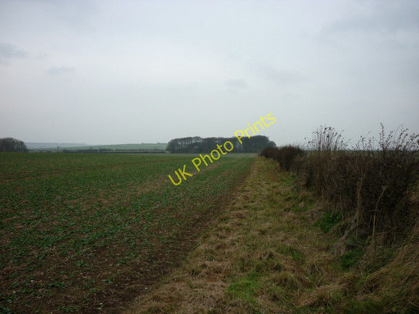 Photo 6"x4" Looking towards Kilham Grange Farm in the wood Kilham\/TA0664 c2010