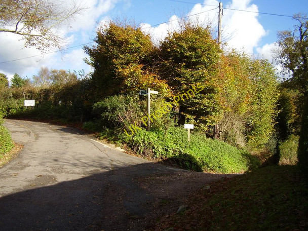 Photo 6"x4" Footpath to Harpford wood and the Bowd. Harpford c2010