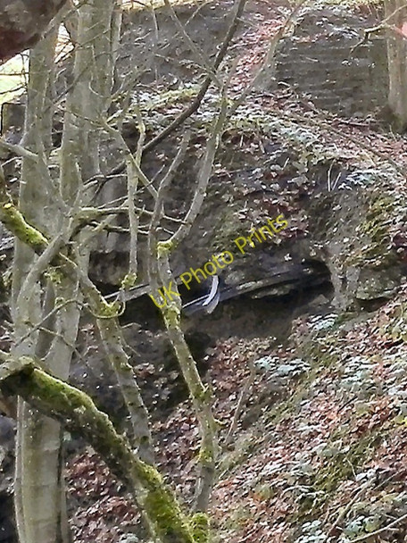 Photo 6"x4" Manchester, Bolton & Bury Canal;  Breach Kearsley\/SD7505 c2010