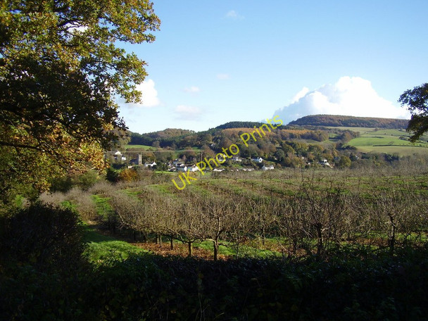 Photo 6"x4" The East Devon Way towards Harpford Harpford c2010