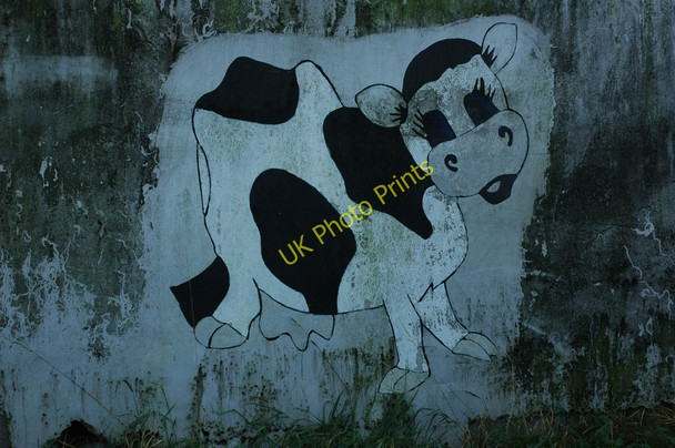 Photo 6"x4" Painted cow, Awre Awre c2010