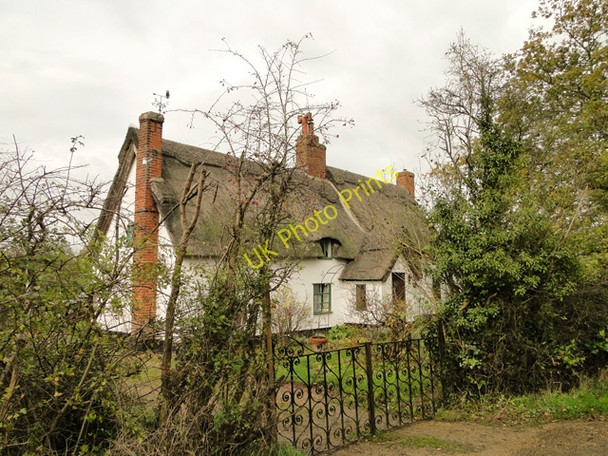 Photo 6"x4" Thatched Cottage at Cockold's Green Cuckold's Green\/TM4882 c2010