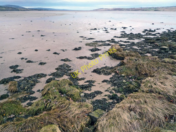 Photo 6"x4" Shoreline of Cromarty Firth by the Dingwall canal Dingwall\/NH5458 c2010