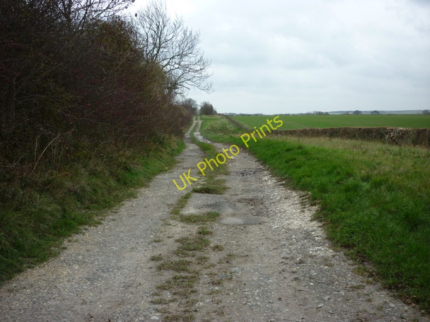 Photo 6"x4" Sheep Rake Lane West End\/TA0564 c2010