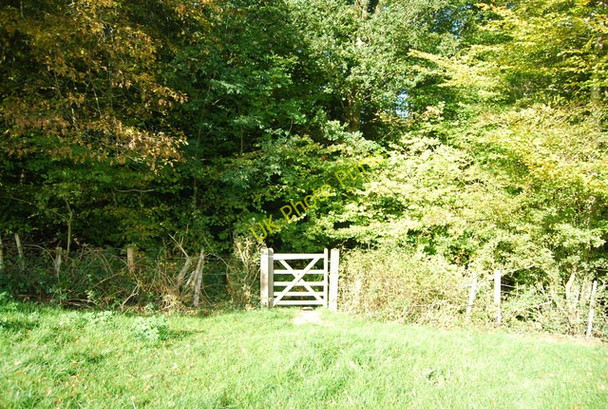 Photo 6"x4" Sussex Border Path enters Colesgrove Wood Sleeches Cross c2010