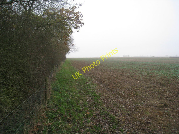 Photo 6"x4" Alongside the wood Spridlington c2010