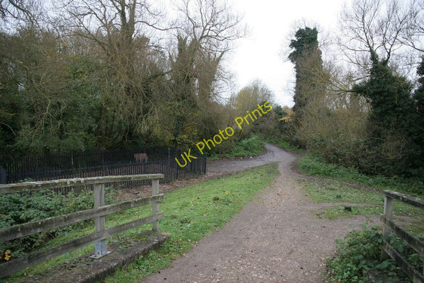 Photo 6"x4" Fork in the footpath Calcot\/SU6671 c2010
