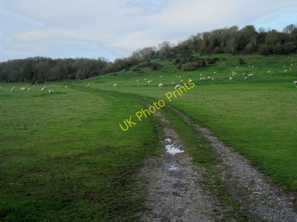 Photo 6"x4" Horn Hill, Cannington Edbrook\/ST2340 c2010 P1