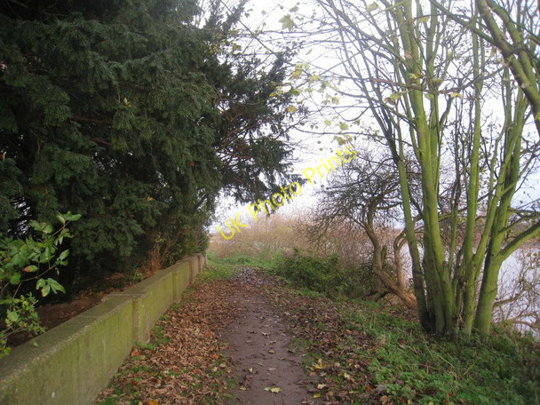 Photo 6"x4" On the Trent bank at Althorpe Althorpe c2010