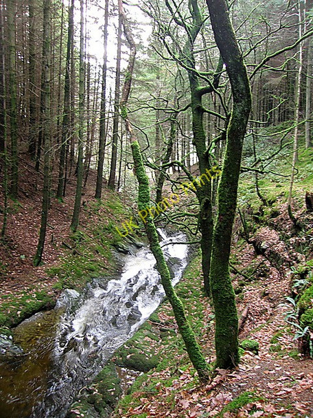 Photo 6"x4" Gorge of the Nant Peiran Cwmystwyth c2010