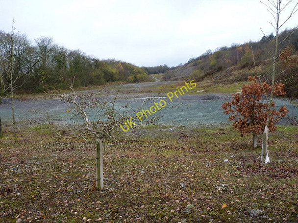 Photo 6"x4" Abandoned quarry on Wenlock Edge Hughley c2010
