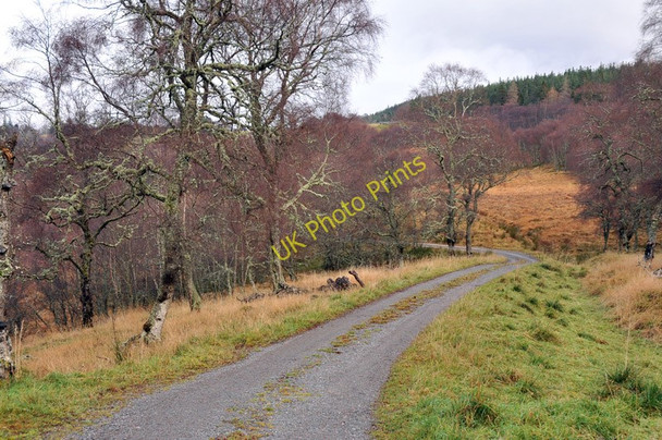 Photo 6"x4" Road to Shanvall Etteridge c2010