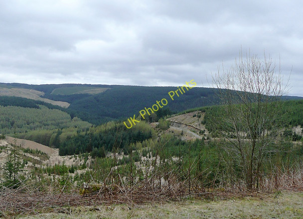 Photo 6"x4" The Tywi Forest by Cnwch Rhiwhalog, Ceredigion Cnwch Rhiwhalog c2010