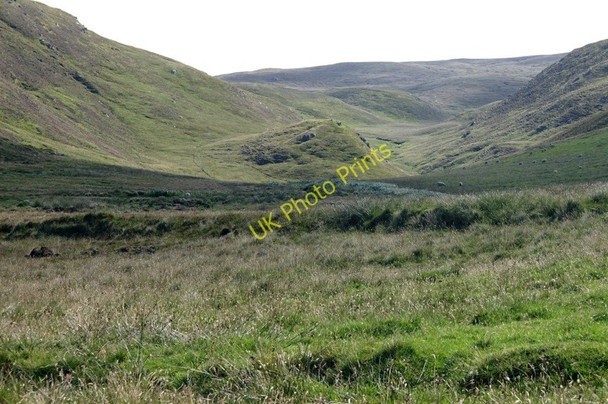 Photo 6"x4" Dale of Woodwick from the north Baliasta\/HP6009 c2008